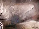 Avenc del Perpal - Thumbnail 4, Begues