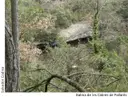 Balma de les Cabres de Pallarès - Thumbnail 1, Olius