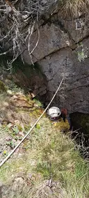 Grallera del Ras - Miniatura 4, Llimiana
