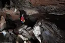Coves de Mura - Miniatura 4, Mura