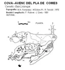 Cova - Avenc del Pla de Comes - Miniatura 1, Cervelló