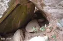 Cova Baixa - Thumbnail 4, Montblanc