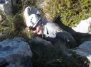Avenc Embossat - Miniatura 2, Begues