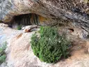 Balma del Xoriguer - Миниатюра 1, Navès