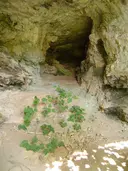 Cova del Bassot - Miniatura 2, Capçanes