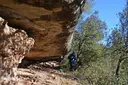 Balma dels Carlins - Thumbnail 1, Sant Feliu Sasserra
