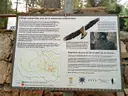 Avenc de la Picossa - Miniatura 9, Móra d'Ebre
