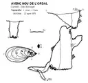 Avenc Nou de l'ordal - Miniatura 1, Cervelló