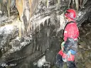 Avenc del Tinc-ca-tinc - Thumbnail 17, Sort