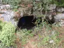 Cova del Moreno - Miniatura 1, Tortosa