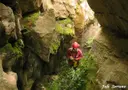 Cau Gran de la Carnisseria - Miniatura 4, Torroella de Montgrí