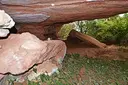 Balma de la Font del Lladre - Miniatura 1, Rellinars