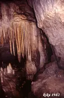 Cova del Serrat del Vent - Miniatura 7, Tavertet
