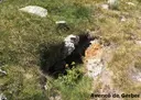 Cova de Gerber - Miniatura 5, Alt Àneu