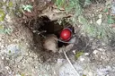 Avenc 1c de Can Verdeguer - Thumbnail 2, Mediona