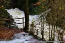 la Dou del Bastareny - Miniatura 1, Gisclareny