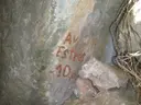 Avencs Arrel-estret - Miniatura 4, Montblanc