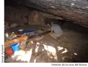 Cova del Boixar - Thumbnail 4, Bruc, El