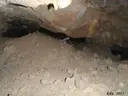 Cova Nº1 de les Collades - Miniatura 3, Conca de Dalt