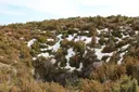 Graller del Portús - Thumbnail 7, Pont de Suert, El