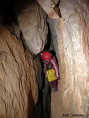 Cova-avenc d'en Daniel - Miniatura 8, Capafonts
