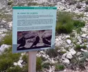 Bòfia del Port del Comte - Miniatura 2, Coma i la Pedra, La