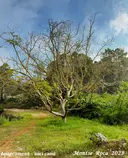 Cova del Rector - Thumbnail 1, Pradell de la Teixeta
