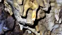 Cova Fosca de Vilanova - Thumbnail 4, Vilanova de Meià