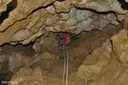 Baumes del Borrasser - Thumbnail 13, Molló