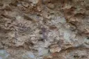Abrics d'Ermites de la Pietat - Miniatura 8, Ulldecona