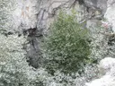 Avenc Lo Fornàs - Miniatur 2, Horta de Sant Joan