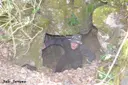 Forat de la Gina - Miniatura 2, Susqueda