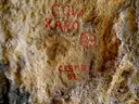 Cova Xaro - Miniatura 1, Olivella