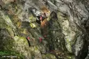 Bòfia dels Prats - Miniature 11, Coll de Nargó