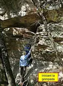 Cova de S'Avellana - Miniatura 2, Masies de Roda, Les