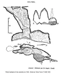 Avenc del Daví - Miniatura 2, Sant Llorenç Savall