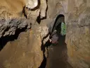 Cova dels Muricecs - Miniatura 16, Llimiana