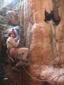 Avenc dels Esquelets - Miniature 4, Olivella