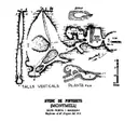Avenc dels Pinyerets - Miniatura 2, Montmell, El