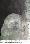 Cova Negra de Mata-solana - Miniatura 8, Llimiana