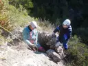 Avenc de Palanques - Miniatura 2, Tivenys