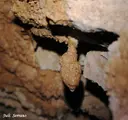 Avenc de la Solana de Ca la Torre - Miniatura 7, Pratdip