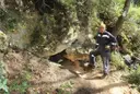 Cova del Corrent - Thumbnail 1, Castellet i la Gornal