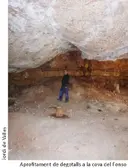 Cova del Fonso - Miniatura 5, Bruc, El