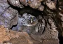 Pou de la Calella - Miniatura 3, Torroella de Montgrí