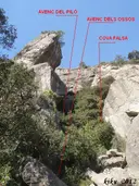 Avenc dels Ossos - Miniatura 4, Arbolí