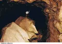 Forat de Riu Algars - Thumbnail 8, Alfara de Carles