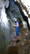 Cova de l'Estret del Bosc de Quer - Miniatur 4, Montagut i Oix