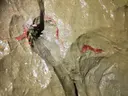 Avenc dels Vaquers - Thumbnail 7, Begues