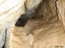 Avenc dels Joans - Miniatura 3, Albinyana